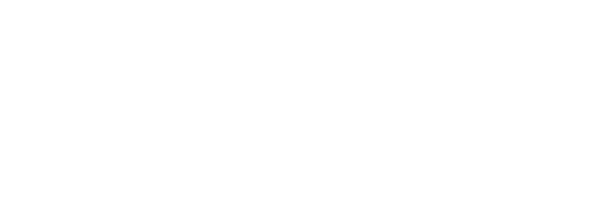 Raging Capital Ventures